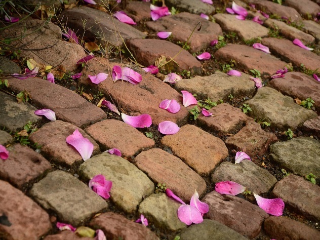 Грабителя цветочного магазина выдал шлейф из лепестков роз