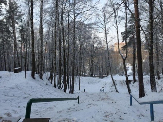 Тело пропавшей москвички нашли в Красногорском лесопарке