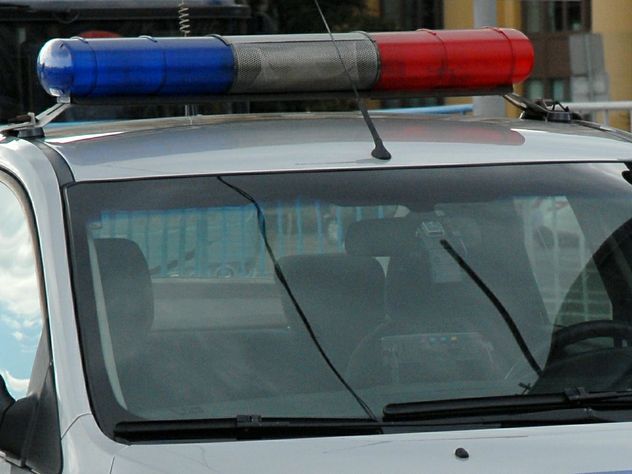 Полуголая девушка разгромила машину полиции в Москве
