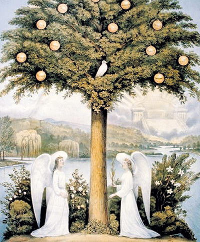 В мифологии многие деревья обладают мистической силой. Одно из наиболее сильных, яблоня, - символ материнства, дерево женской силы