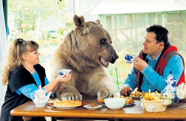 Любимый питомец на семейном чаепитии... Фото: Twitter.com