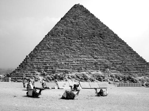 «Корабли пустыни» на фоне пирамиды. pixabay.com