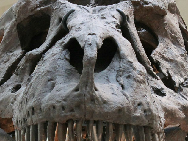 Палеонтологи нашли окаменелого «убийцу динозавров»