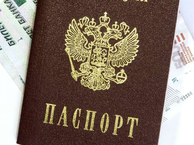 Эксперт озвучил возможные сроки отмены паспортов в России