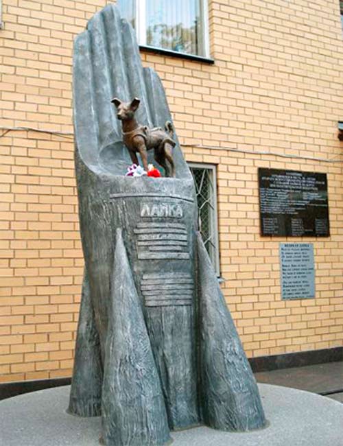 Памятник Лайке на территории Института военной медицины. wikimedia