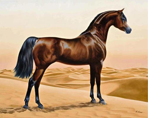 C древних времен арабские скакуны считаются одной из лучших пород в мире. Wikimedia