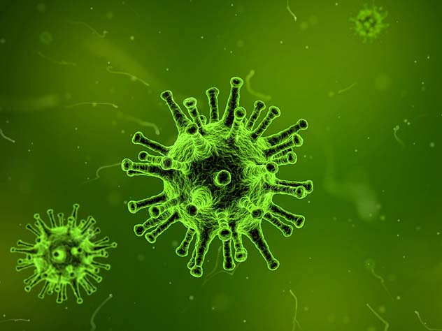 Индийские ученые предрекли человечеству гибель от вируса 23 декабря