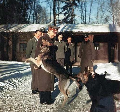 Гитлер искренне любил собак