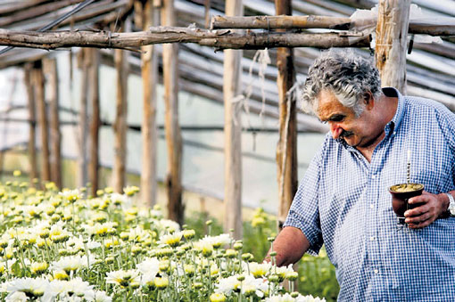 Экс-президент Хосе Мухики разводит цветы на продажу