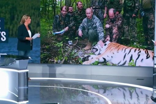 Французский телеканал признал, что допустил ошибку, сообщив об охоте Путина на тигров