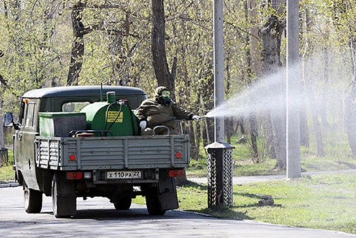 Обработка от клещей в России почти не проводится. Это одна из причин, почему поголовье насекомых так расплодилось