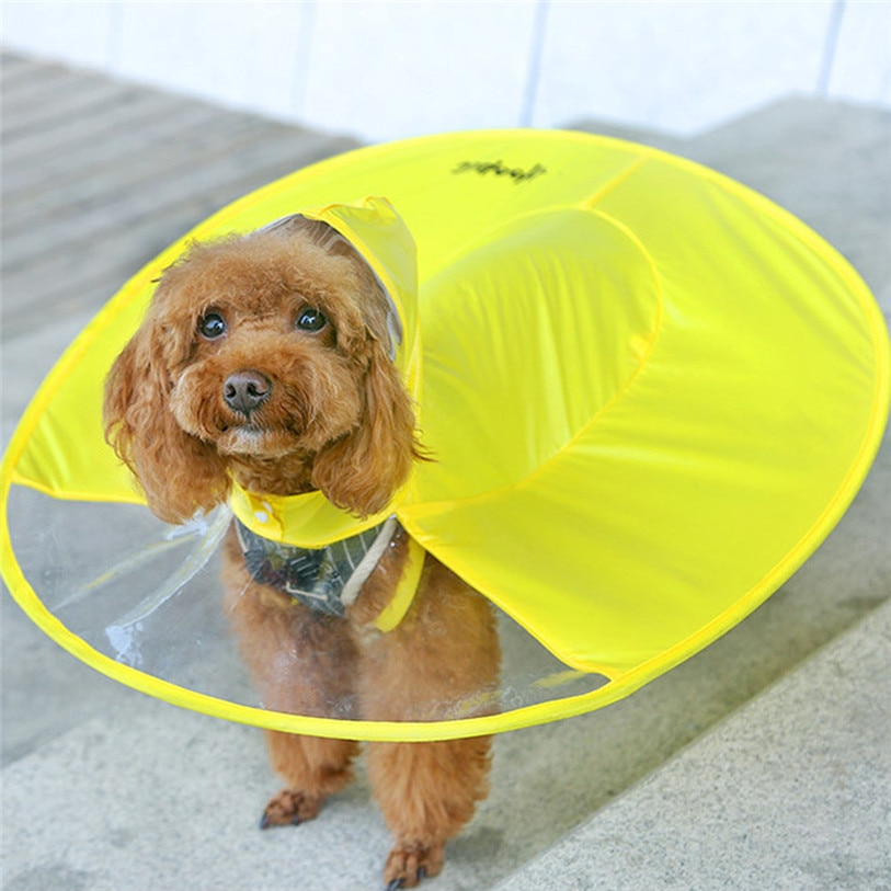 Зонтик-плащ для собак. Фото: aliexpress.com