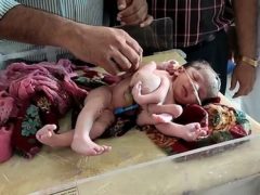 pic_b359484d785d467be379c03b679405de