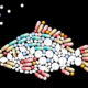 Противозачаточные препараты, попадая в окружающую среду с отходами, нарушают воспроизведение потомства у водных животных