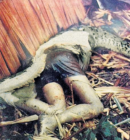 Картинки по запросу питон проглотил мальчика