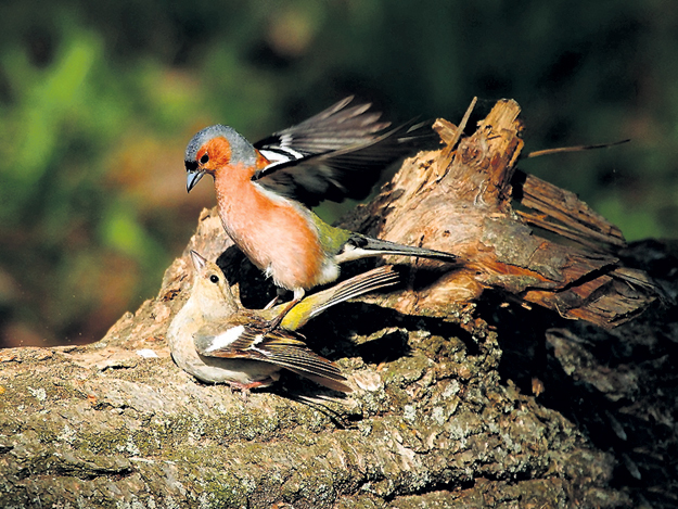 Жастарға арналған үйдегі порно секс