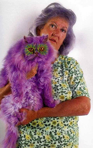 Хозяйка перекрасила кота в фиолетовый цвет - Экспресс газета