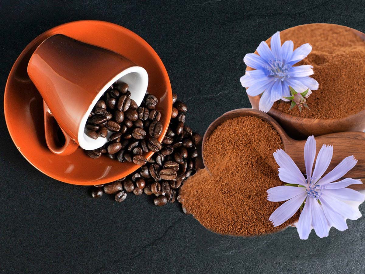 Кофе vs цикорий: что вкуснее и полезнее - Экспресс газета