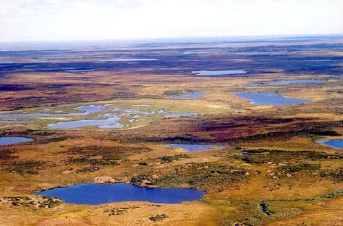 Сама по себе Сибирь подходит для жизни не более, чем север Канады или Антарктида. Фото: ru.m.wikipedia.org