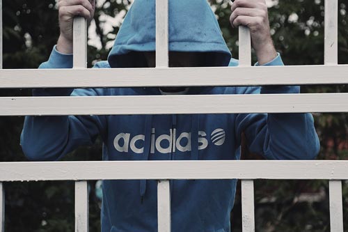 Жду ответа как соловей лета. pixabay.com