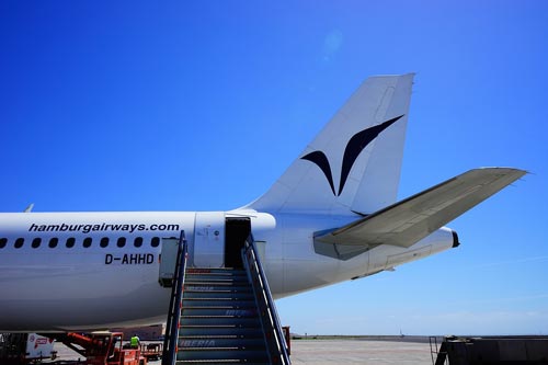 Не полезу я на эту страсть! pixabay.com