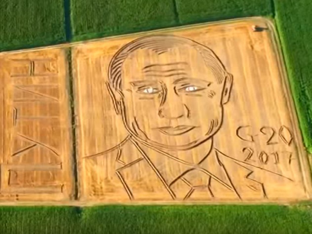 Лицо На Поле Фото Лицо На Поле Фото
