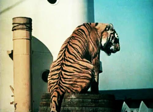 Кадр из кинофильма «Полосатый рейс», 1961 год