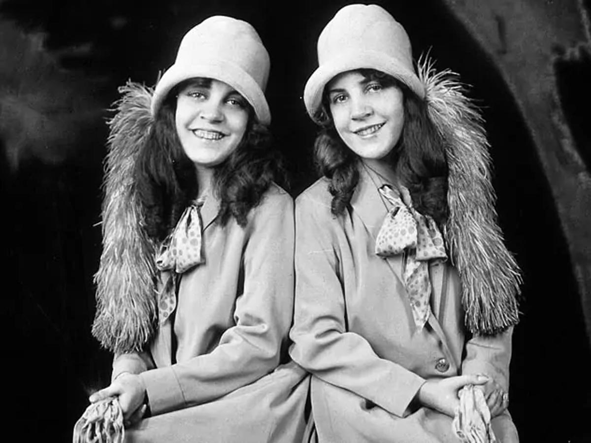 Дейзи близнецы. Дейзи близнецы. Дейзи близнецы. Дейзи близнецы. Дейзи близнецы.