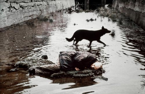 В 1979 году Андрей Тарковский снял фильм «Сталкер» по мотивам повести братьев Стругацких «Пикник на обочине». Многие считают, что фантасты предсказали Чернобыль. Кадр из фильма
