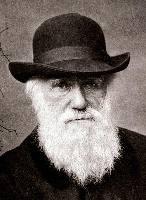 Чарлз Дарвин. wikipedia 