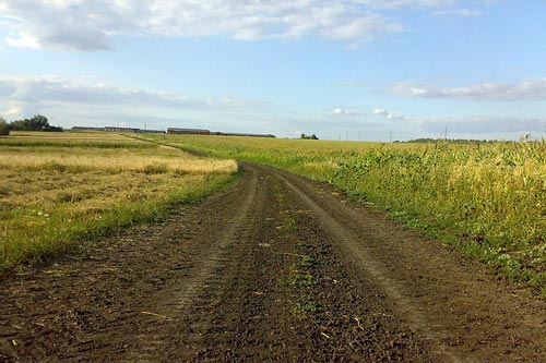 Дорога в колхоз. Vopelnik / wikimedia