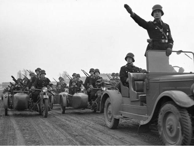 Дивизия «Лейбштандарт СС Адольф Гитлер» под Ростовом