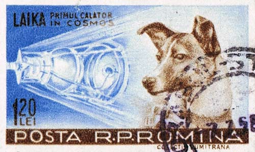 Лайка на марке Румынии. wikimedia