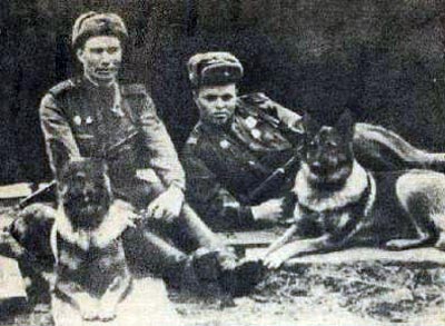 Овчарка Дина (справа) со своим вожатым А. Филатовым. wikipedia