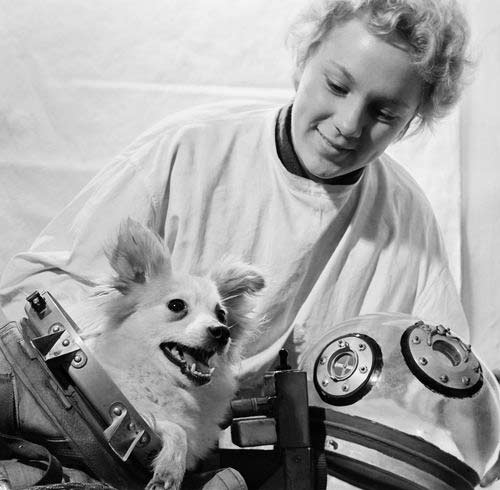 Подготовка собак к полету в космос. 1959 год. Фото Льва Портера, фотохроника ТАСС