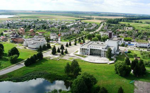 Деревня Мышковичи, 2008