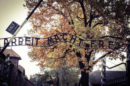 Ворота в Освенцим-Аушвиц. «Труд делает тебя свободным». Фото: pixabay.com