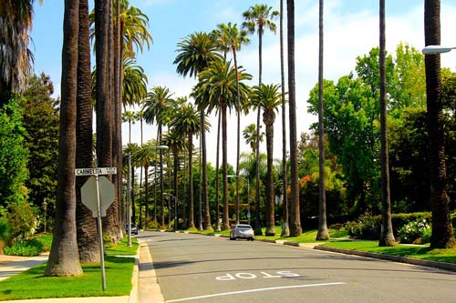 Калифорния и сегодня представляется многим эмигрантам, стремящимся в США, настоящим раем. Pixabay.com