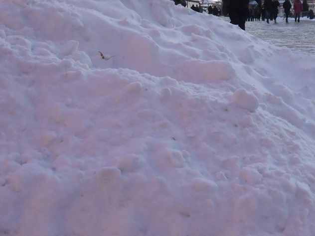 Жители нескольких улиц в Саратове из-за отсутствия воды топят снег