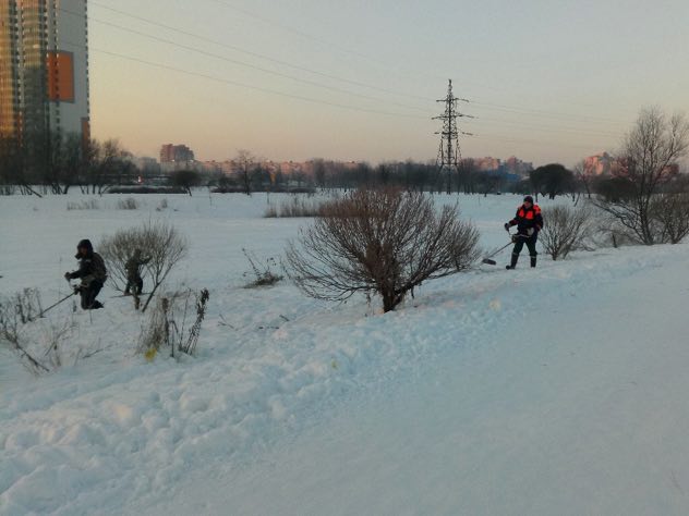 В Петербурге коммунальщики начали косить снег