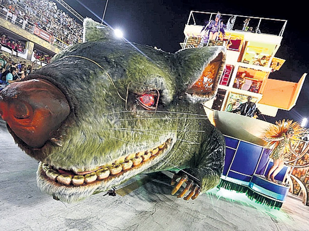 На карнавале в Бразилии победила крыса