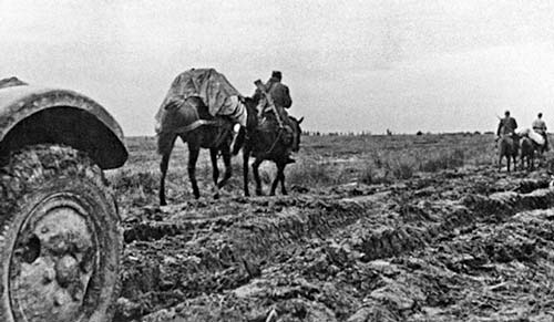 Кавалерийская часть во время перехода по бездорожью. Фото: Минобороны России