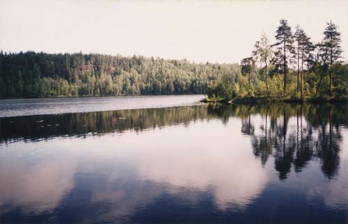 Озеро в Карелии. Источник: wikimedia.org