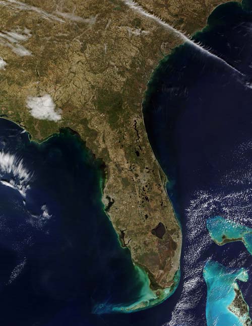 Флорида, вид из космоса. Источник: wikimedia.org