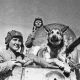 Экипаж советского бронеавтомобиля БА-10, включая овчарку Джульбарс, 1942 год. Фото Эммануила Евзерихина (Фотохроника ТАСС)