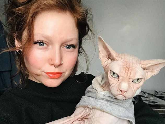«Самый злой кот в мире» собрал в Instagram 70 тысяч подписчиков