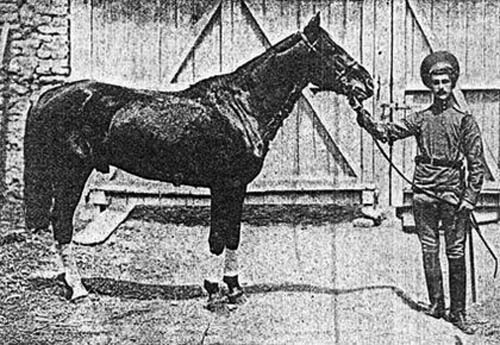 Сотник Анненков, 1913 год. До конца жизни его слабостью были конфеты и лошади. Фото: wikimedia.org