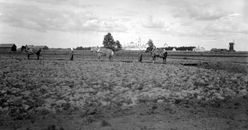 Сегодня эти поля находятся на дне водохранилища — как и Афанасьевский монастырь, виднеющийся на заднем плане. Фото 1903 года. Источник: wikimedia.org