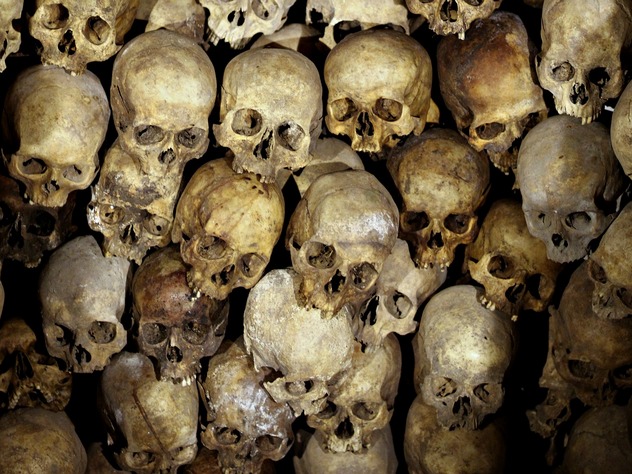 В башкирском лесу нашли скелет человека