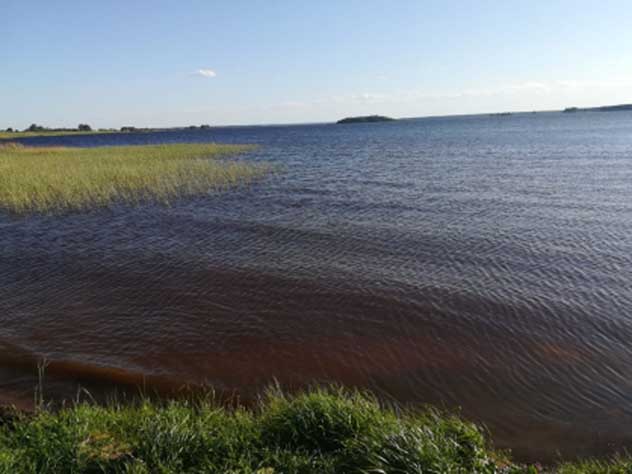водохранилище в Тверской области, где утонула девочка-подросток